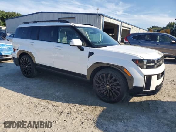 ✅ 2025 Hyundai Santa Fe Calligraphy • VIN: 5NMP54GL3SH087094 • Lot: 80396755. Listed on Copart with 4,828 mi. Free auction sales archive from the USA and detailed vehicle history report at DreamBid. Image 4.