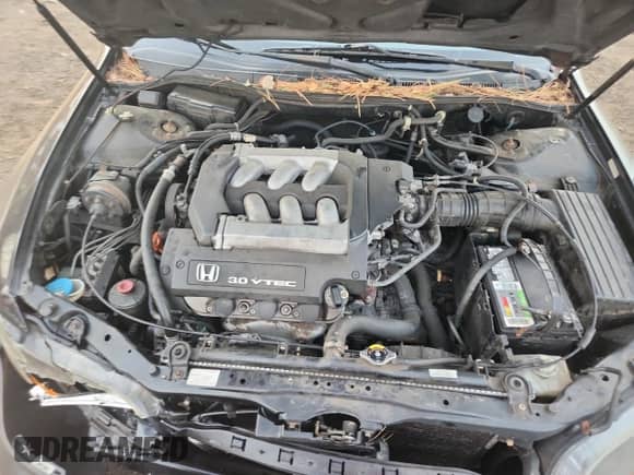 2001 Honda Accord EX z VIN 1HGCG16591A036378, wystawiony jako Copart lot #90289725 z przebiegiem Nie podano mil oraz Szkoda całkowita • Salvage title. Historia ofert i sprzedaży dostępna na DreamBid. Obrazek 11.