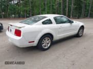 ✅ 2008 Ford Mustang Deluxe • VIN: 1ZVHT80N185208081 • Лот: 42360271. Опубликован ранее на IAAI с пробегом 77 494 миль. Бесплатный доступ к архиву аукционных продаж из США и подробный отчёт об истории автомобиля на DreamBid. Изображение 4.