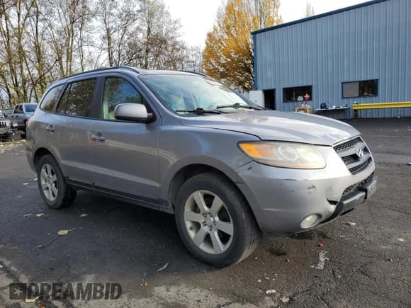 ✅ 2007 Hyundai Santa Fe SE • VIN: 5NMSH73E07H042597 • Lot: 80236884. Listed on Copart with 166,655 mi. Free auction sales archive from the USA and detailed vehicle history report at DreamBid. Image 4.