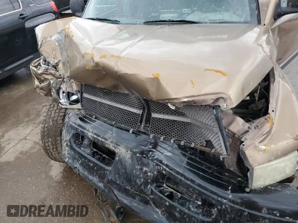 2001 Dodge 1500 с VIN 1B7HF13Z61J508941, выставлен на аукционе Copart как лот 78060854 с пробегом Не указан миль и Списание • Salvage title. История ставок и продаж доступна на DreamBid. Изображение 12.