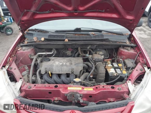 ✅ 2003 Toyota ECHO • VIN: JTDAT123830259204 • Лот: 43773484. Опубликован ранее на IAAI с пробегом 268 509 миль. Бесплатный доступ к архиву аукционных продаж из США и подробный отчёт об истории автомобиля на DreamBid. Изображение 10.