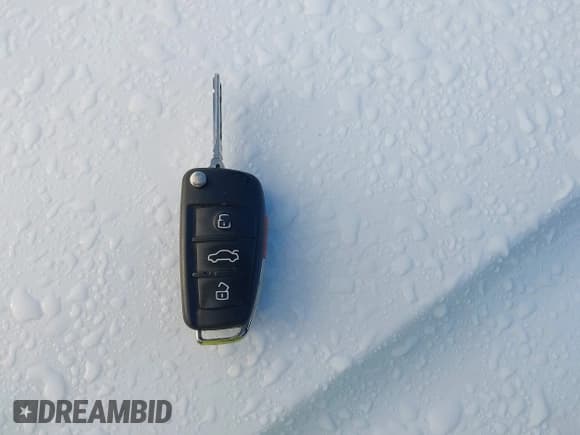 ✅ 2007 Audi Q7 • VIN: WA1AV74L57D025184 • Lot: 43610134. Wystawiony na IAAI z przebiegiem 160 471 mil. Bezpłatny archiwum sprzedaży aukcyjnych z USA i szczegółowy raport historii pojazdu na DreamBid. Zdjęcie 11.