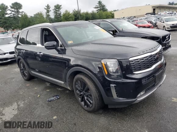 ✅ 2020 Kia Telluride SX • VIN: 5XYP5DHC4LG046547 • Lot: 67214825. Wystawiony na Copart z przebiegiem Nie podano. Bezpłatny archiwum sprzedaży aukcyjnych z USA i szczegółowy raport historii pojazdu na DreamBid. Zdjęcie 4.