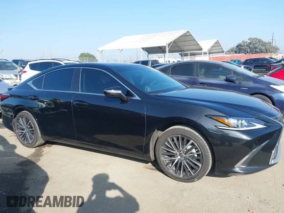 ✅ 2024 Lexus ES 300h • VIN: 58ADA1C1XRU054330 • Lot: 43551508. Wystawiony na IAAI z przebiegiem 7 928 mil. Bezpłatny archiwum sprzedaży aukcyjnych z USA i szczegółowy raport historii pojazdu na DreamBid. Zdjęcie 13.