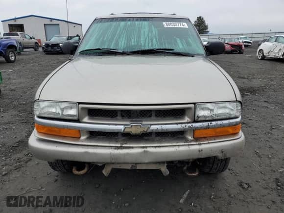 2002 Chevrolet Blazer LS z VIN 1GNDT13W02K155161, wystawiony jako Copart lot #80033774 z przebiegiem 145 425 mil mil oraz Szkoda całkowita • Salvage title. Historia ofert i sprzedaży dostępna na DreamBid. Obrazek 5.