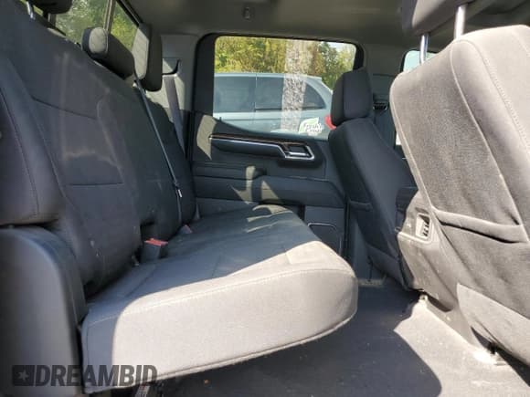 ✅ 2024 Chevrolet Silverado 1500 LT Trail Boss • VIN: 3GCUDFED4RG201574 • Lot: 72021395. Wystawiony na Copart z przebiegiem 42 184 mil. Bezpłatny archiwum sprzedaży aukcyjnych z USA i szczegółowy raport historii pojazdu na DreamBid. Zdjęcie 10.