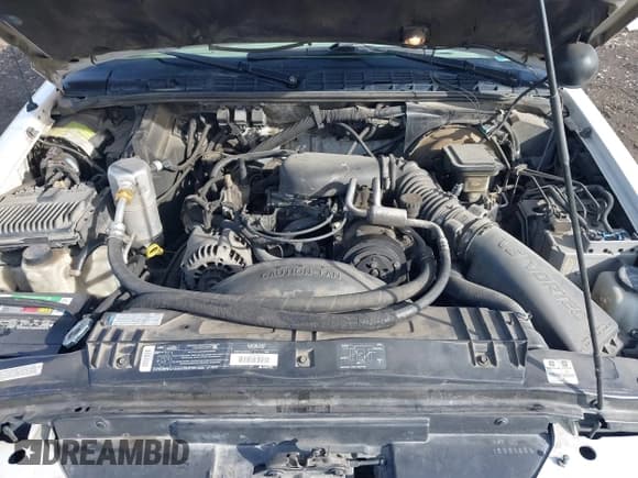 ✅ 1996 GMC Jimmy SL • VIN: 1GKDT13W8T2522192 • Lot: 41439548. Wystawiony na IAAI z przebiegiem 262 152 mil. Bezpłatny archiwum sprzedaży aukcyjnych z USA i szczegółowy raport historii pojazdu na DreamBid. Zdjęcie 10.