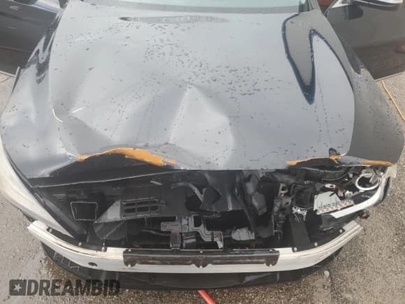 ✅ 2015 Hyundai Genesis 5.0L • VIN: KMHGN4JF3FU027216 • Lot: 79421604. Wystawiony na Copart z przebiegiem 146 664 mil. Bezpłatny archiwum sprzedaży aukcyjnych z USA i szczegółowy raport historii pojazdu na DreamBid. Zdjęcie 11.