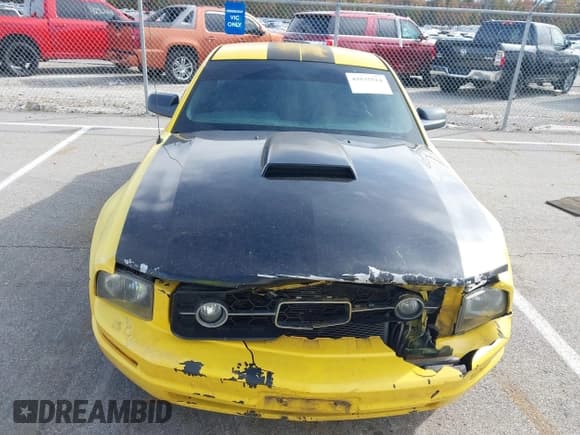 ✅ 2006 Ford Mustang Standard • VIN: 1ZVHT80N065151143 • Lot: 43535514. Listed on IAAI with 178,420 mi. Free auction sales archive from the USA and detailed vehicle history report at DreamBid. Image 13.