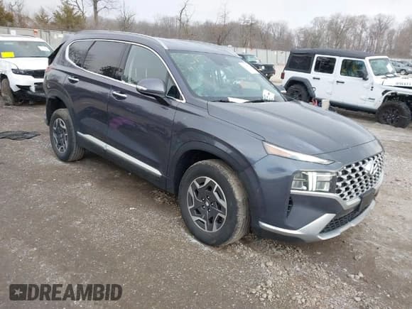 ✅ 2021 Hyundai Santa Fe Blue • VIN: KM8S2DA13MU013627 • Lot: 41630983. Listed on IAAI with 58,187 mi. Free auction sales archive from the USA and detailed vehicle history report at DreamBid. Image 1.