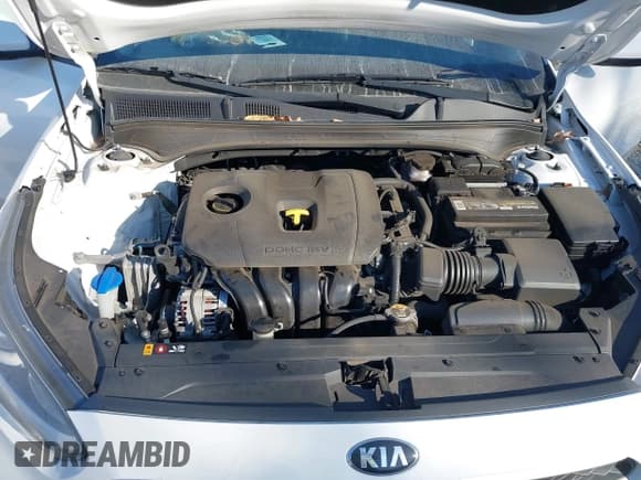 ✅ 2019 Kia Forte LXS • VIN: 3KPF24ADXKE119908 • Lot: 43720889. Wystawiony na IAAI z przebiegiem 110 730 mil. Bezpłatny archiwum sprzedaży aukcyjnych z USA i szczegółowy raport historii pojazdu na DreamBid. Zdjęcie 10.