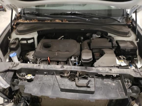 ✅ 2019 Hyundai Santa Fe SEL • VIN: 5NMS3CAD1KH024250 • Lot: 54616614. Wystawiony na Copart z przebiegiem 45 598 mil. Bezpłatny archiwum sprzedaży aukcyjnych z USA i szczegółowy raport historii pojazdu na DreamBid. Zdjęcie 12.