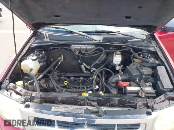 ✅ 2011 Ford Escape XLT • VIN: 1FMCU9D76BKB84604 • Лот: 42485224. Опубликован ранее на IAAI с пробегом 152 501 миль. Бесплатный доступ к архиву аукционных продаж из США и подробный отчёт об истории автомобиля на DreamBid. Изображение 10.