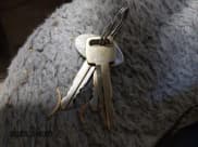 ✅ 1991 Ford Econoline Cargo • VIN: 1FTES14N5MHA51447 • Lot: 43497014. Wystawiony na IAAI z przebiegiem 18 049 mil. Bezpłatny archiwum sprzedaży aukcyjnych z USA i szczegółowy raport historii pojazdu na DreamBid. Zdjęcie 11.