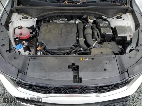 ✅ 2024 Kia Sorento EX • VIN: 5XYRH4JF3RG271328 • Lot: 67602765. Listed on Copart with 21,218 mi. Free auction sales archive from the USA and detailed vehicle history report at DreamBid. Image 12.