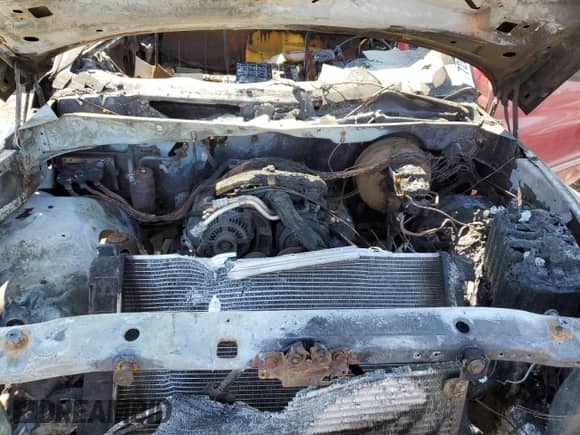 1997 Dodge 1500 with VIN 3B7HF13Y1VG828439, listed as a Copart auction lot 72064955 with Not provided miles and Clean title. Bid and sale history available at DreamBid. Image 11.