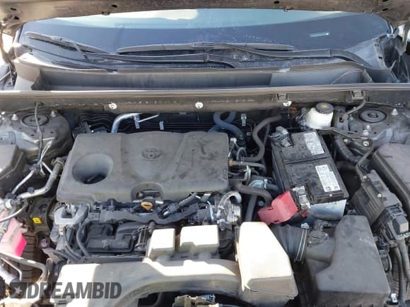 ✅ 2023 Toyota RAV4 XLE • VIN: 2T3W1RFV3PW247789 • Lot: 43631766. Wystawiony na IAAI z przebiegiem 41 846 mil. Bezpłatny archiwum sprzedaży aukcyjnych z USA i szczegółowy raport historii pojazdu na DreamBid. Zdjęcie 10.