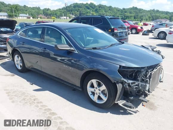 2019 Chevrolet Malibu LS z VIN 1G1ZC5ST2KF185521, wystawiony jako IAAI lot #42604387 z przebiegiem 128 277 mil mil oraz . Historia ofert i sprzedaży dostępna na DreamBid. Obrazek 1.