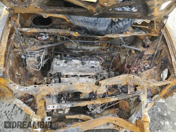 ✅ 2006 Honda Element EX-P • VIN: 5J6YH27776L025800 • Lot: 50485535. Listed on Copart with Not provided. Free auction sales archive from the USA and detailed vehicle history report at DreamBid. Image 13.