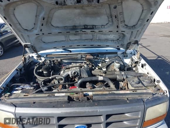 ✅ 1994 Ford F-150 • VIN: 2FTEF15Y2RCA71716 • Lot: 43236608. Listed on IAAI with 246,065 mi. Free auction sales archive from the USA and detailed vehicle history report at DreamBid. Image 10.