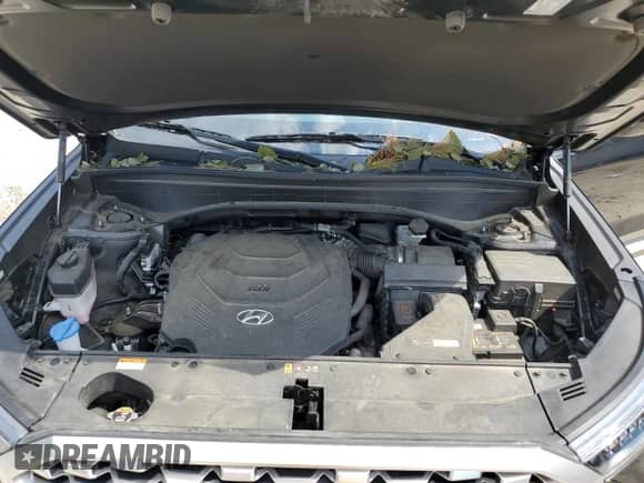 2022 Hyundai Palisade SE with VIN KM8R1DHE4NU471091, listed as a Copart auction lot 63491624 with 40,016 mi miles and Salvage title. Bid and sale history available at DreamBid. Image 13.