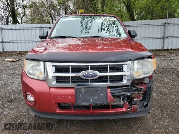 ✅ 2009 Ford Escape XLT • VIN: 1FMCU03779KA35528 • Lot: 55348885. Listed on Copart with 248,627 mi. Free auction sales archive from the USA and detailed vehicle history report at DreamBid. Image 5.