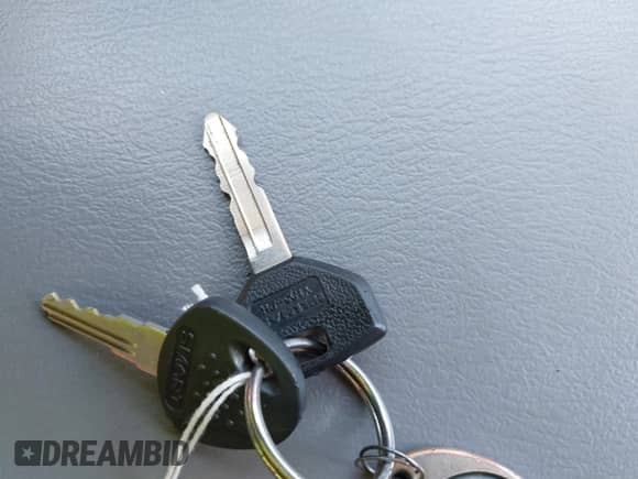 1998 Dodge Dakota z VIN 1B7FL26P8WS631173, wystawiony jako IAAI lot #42547950 z przebiegiem 199 137 mil mil oraz . Historia ofert i sprzedaży dostępna na DreamBid. Obrazek 11.