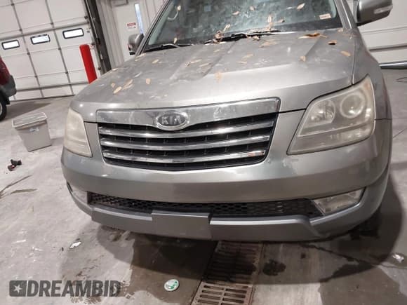 ✅ 2009 Kia Borrego LX • VIN: KNDJJ741995016176 • Lot: 43787822. Listed on IAAI with 160,627 mi. Free auction sales archive from the USA and detailed vehicle history report at DreamBid. Image 6.