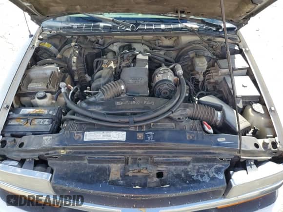 1999 Chevrolet S-10 LS with VIN 1GCCS1444XK140612, listed as a Copart auction lot 82521425 with 248,388 mi miles and Salvage title. Bid and sale history available at DreamBid. Image 11.