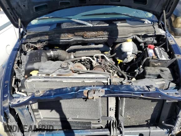 ✅ 2003 Dodge 1500 ST • VIN: 1D7HU18D23J594406 • Lot: 81224874. Wystawiony na Copart z przebiegiem 82 550 mil mil. Skorzystaj z bezpłatnego archiwum sprzedaży aukcyjnych z USA i zobacz szczegółowy raport historii pojazdu na DreamBid. Zdjęcie 11.