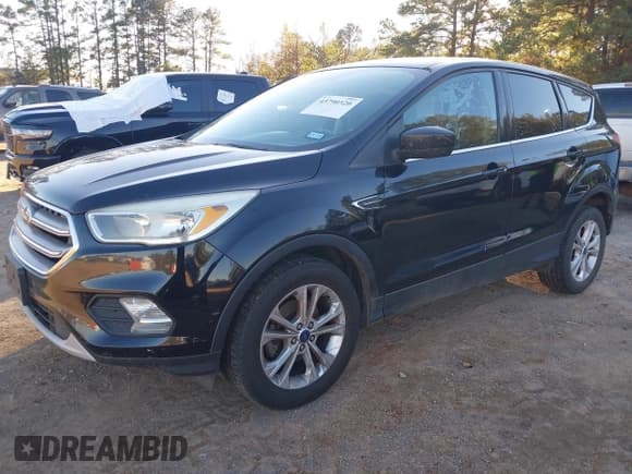 ✅ 2017 Ford Escape SE • VIN: 1FMCU0GD3HUB51862 • Lot: 43790320. Listed on IAAI with 204,800 mi. Free auction sales archive from the USA and detailed vehicle history report at DreamBid. Image 2.