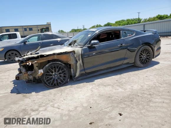✅ 2021 Ford Mustang GT • VIN: 1FA6P8CF2M5128534 • Lot: 57757225. Listed on Copart with Not provided. Free auction sales archive from the USA and detailed vehicle history report at DreamBid. Image 1.