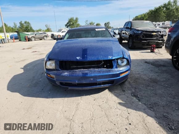 ✅ 2009 Ford Mustang • VIN: 1ZVHT80N295114874 • Лот: 70127945. Опубликован ранее на Copart с пробегом 175 432 миль. Бесплатный доступ к архиву аукционных продаж из США и подробный отчёт об истории автомобиля на DreamBid. Изображение 5.