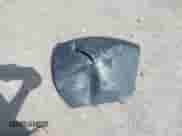 2008 Chevrolet Silverado 1500 Work Truck с VIN 1GCEC14XX8Z214575, выставлен на аукционе IAAI как лот 42290216 с пробегом 239 156 миль миль и . История ставок и продаж доступна на DreamBid. Изображение 12.