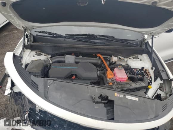 ✅ 2023 Kia Sorento EX • VIN: KNDRHDLG9P5163968 • Lot: 82396005. Listed on Copart with 49,532 mi. Free auction sales archive from the USA and detailed vehicle history report at DreamBid. Image 12.