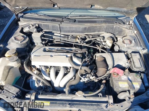 ✅ 1999 Toyota Corolla VE • VIN: 2T1BR12E5XC127162 • Lot: 43412708. Listed on IAAI with Not provided. Free auction sales archive from the USA and detailed vehicle history report at DreamBid. Image 10.