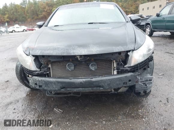 ✅ 2010 Honda Accord EX • VIN: 1HGCP2F74AA031239 • Lot: 43442792. Listed on IAAI with 233,168 mi. Free auction sales archive from the USA and detailed vehicle history report at DreamBid. Image 11.