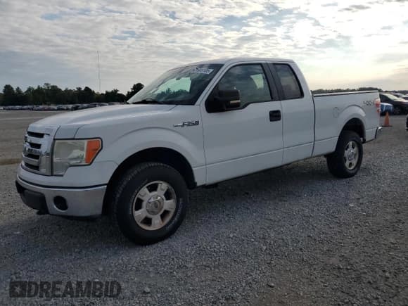 ✅ 2009 Ford F-150 XL • VIN: 1FTPX14V09KB75744 • Lot: 71989105. Listed on Copart with 152,571 mi. Free auction sales archive from the USA and detailed vehicle history report at DreamBid. Image 1.