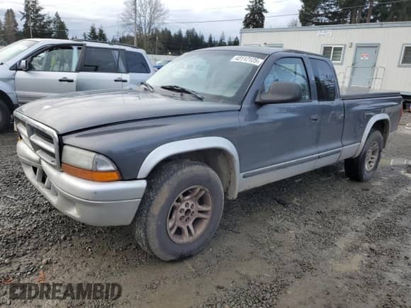 2003 Dodge Dakota SLT with VIN 1D7HL42X33S328572, listed as a Copart auction lot 43112125 with Not provided miles and Salvage title. Bid and sale history available at DreamBid. Image 1.