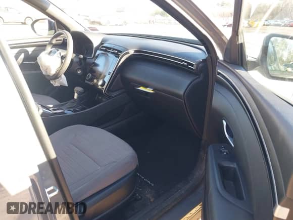 2024 Hyundai Santa Cruz SE с VIN 5NTJADAE3RH096498, выставлен на аукционе IAAI как лот 41100341 с пробегом 7 550 миль миль и . История ставок и продаж доступна на DreamBid. Изображение 5.