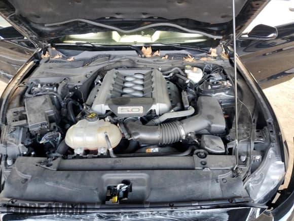 ✅ 2017 Ford Mustang GT • VIN: 1FA6P8CF7H5353540 • Lot: 93968925. Wystawiony na Copart z przebiegiem 29 675 mil. Bezpłatny archiwum sprzedaży aukcyjnych z USA i szczegółowy raport historii pojazdu na DreamBid. Zdjęcie 11.