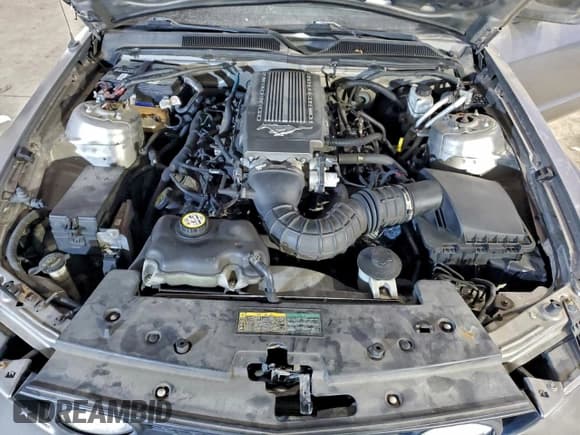 ✅ 2009 Ford Mustang GT • VIN: 1ZVHT82H995145580 • Лот: 96566365. Опубликован ранее на Copart с пробегом 97 809 миль. Бесплатный доступ к архиву аукционных продаж из США и подробный отчёт об истории автомобиля на DreamBid. Изображение 11.