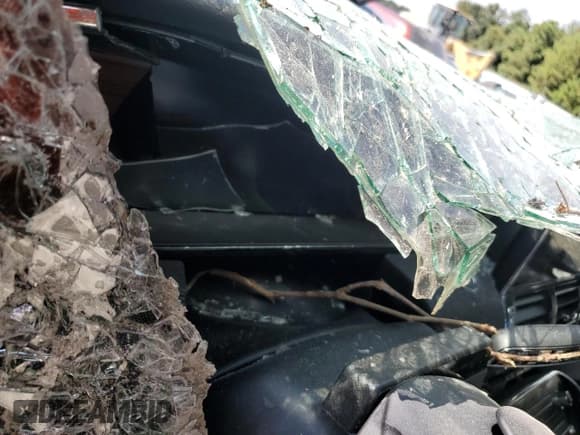 ✅ 2023 Lincoln Navigator Reserve • VIN: 5LMJJ2LG4PEL16092 • Лот: 81286695. Опубликован ранее на Copart с пробегом Не указан. Бесплатный доступ к архиву аукционных продаж из США и подробный отчёт об истории автомобиля на DreamBid. Изображение 9.