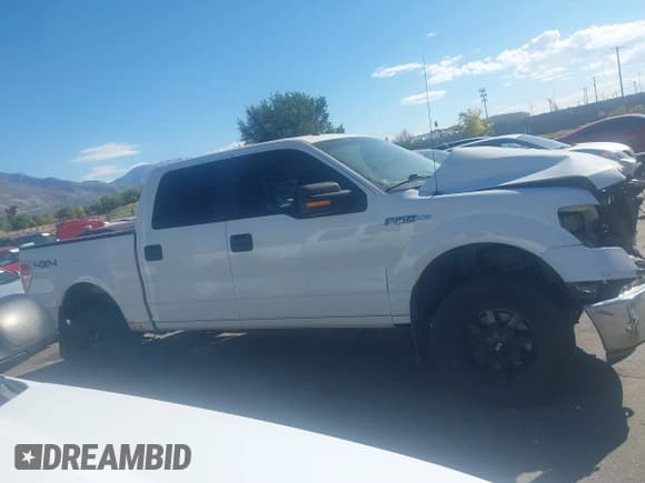 ✅ 2010 Ford F-150 XL • VIN: 1FTFW1EVXAFA79663 • Lot: 43407673. Listed on IAAI with 221,069 mi. Free auction sales archive from the USA and detailed vehicle history report at DreamBid. Image 14.