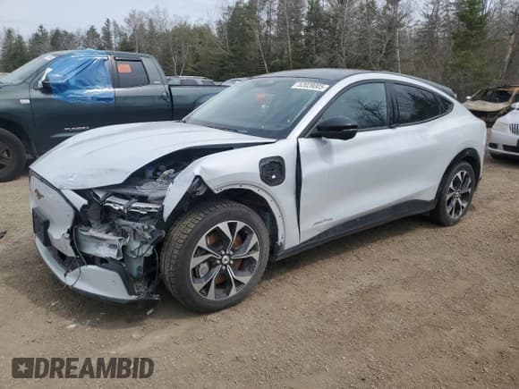 ✅ 2022 Ford Mustang Mach-E Premium • VIN: 3FMTK3SS6NMA44222 • Lot: 52028005. Listed on Copart with 74,349 mi. Free auction sales archive from the USA and detailed vehicle history report at DreamBid. Image 1.