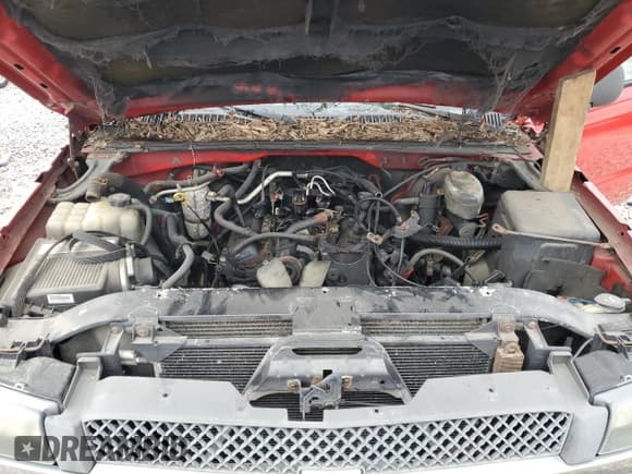 ✅ 2003 Chevrolet Silverado 1500 Work Truck • VIN: 1GCEC14X43Z271847 • Лот: 82142724. Опубликован ранее на Copart с пробегом Не указан. Бесплатный доступ к архиву аукционных продаж из США и подробный отчёт об истории автомобиля на DreamBid. Изображение 11.