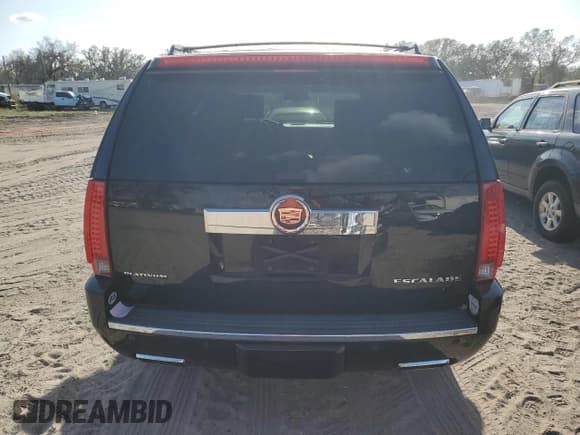 ✅ 2014 Cadillac Escalade Platinum • VIN: 1GYS3DEF3ER243089 • Lot: 77697424. Wystawiony na Copart z przebiegiem Nie podano. Bezpłatny archiwum sprzedaży aukcyjnych z USA i szczegółowy raport historii pojazdu na DreamBid. Zdjęcie 6.
