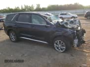 ✅ 2020 Hyundai Palisade SE • VIN: KM8R1DHE4LU052624 • Lot: 55254005. Listed on Copart with 119,424 mi. Free auction sales archive from the USA and detailed vehicle history report at DreamBid. Image 4.