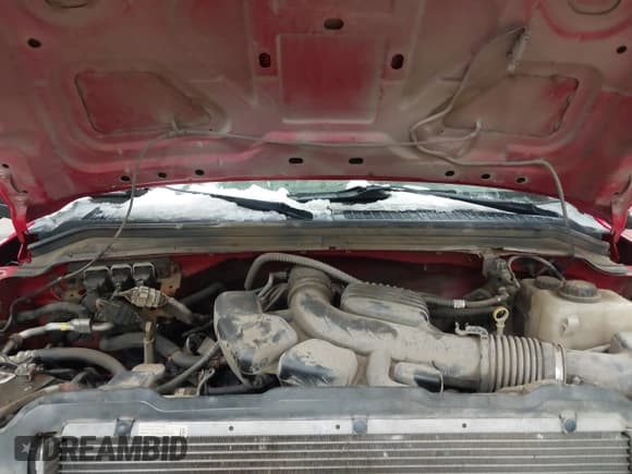 ✅ 2009 Ford F-250 XL • VIN: 1FTNF21589EB14421 • Lot: 41467275. Listed on IAAI with 84,836 mi. Free auction sales archive from the USA and detailed vehicle history report at DreamBid. Image 10.